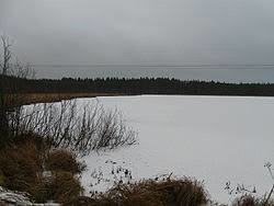 Kalikkalampi