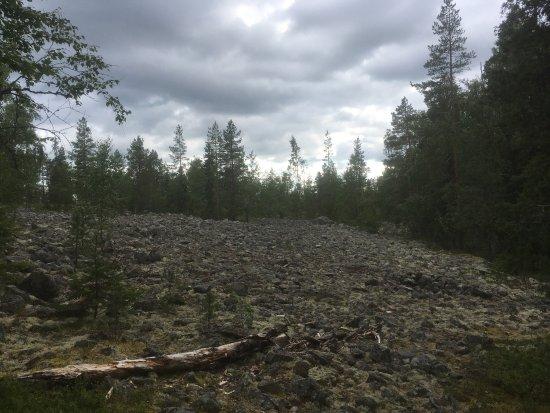 Korkatti Naturetrail